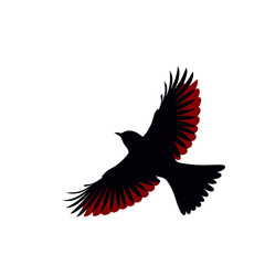 A silhouette of a bird in flight with striking red and black wings against a white background