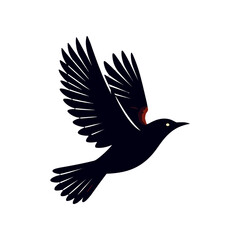 A silhouetted bird in flight, showcasing its wings spread wide against a plain background