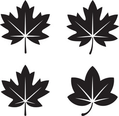 Fototapeta premium Maple leaf silhouette set vector illustration isolated On Transparent Background