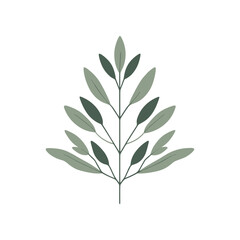 Detailed illustration of a green leaf branch on a white background, showcasing natural beauty