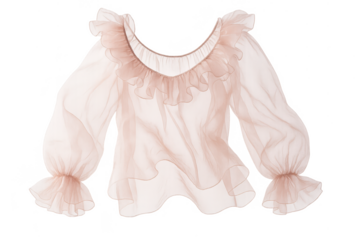 Elegant light pink sheer ruffled blouse isolated on a transparent background