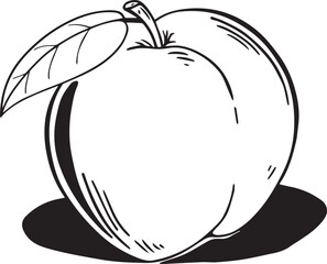 Adobe Illustrator Artwork plum