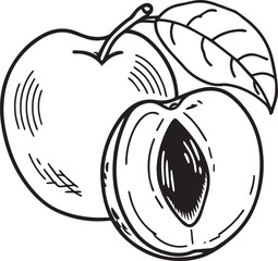 Adobe Illustrator Artwork plum