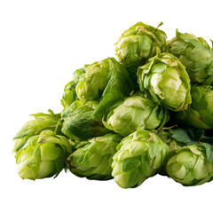 Obraz premium Green Hops Close-up: A vibrant collection of fresh, green hops showcases intricate textures and details, highlighting the natural beauty of brewing ingredients. 