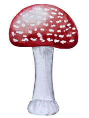 Hand paint watercolor autumn set of pumpkins, acorns, autumn leaves, mushrooms, rowan berry, isolated on white background. Perfect for creating cards, design. Thanksgiving day illustrations