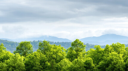 Lush green treetops under cloudy sky with distant mountain ranges in background, creating serene and tranquil natural landscape