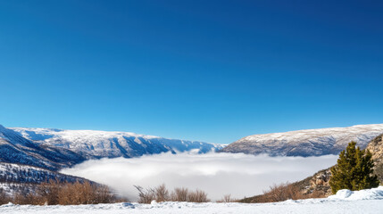 Wide angle view of snowy mountain range veiled in low fog under clear blue sky, with bare trees and snow covered ground in foreground