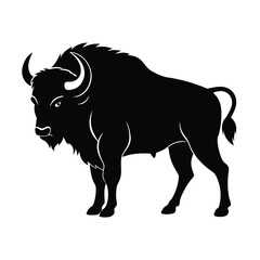 Powerful bison standing silhouette