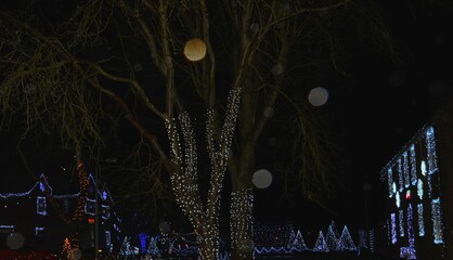 A large display of Christmas lights