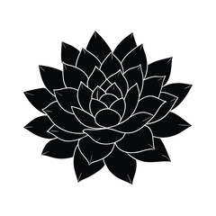 Black and white succulent flower silhouette