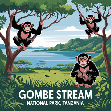 Chimpanzees by the Lake &ndash; Gombe Stream Tanzania