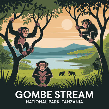 Chimpanzees by the Lake &ndash; Gombe Stream Tanzania