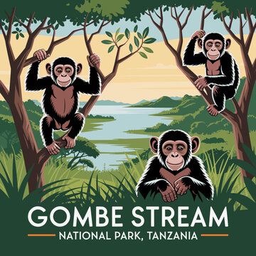 Chimpanzees by the Lake &ndash; Gombe Stream Tanzania