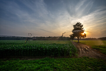 Farm fields and farm scenery. Beautiful rural land during harvest season. Sunset on the farm....