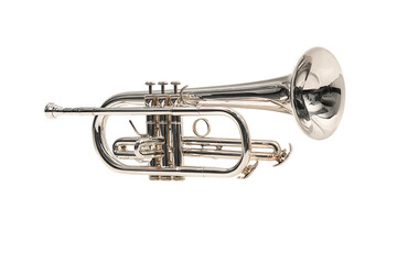 Obraz premium Shiny silver cornet musical instrument.