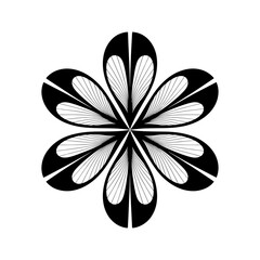 Black and white floral vector illustration with flowers leaves and decorative elements
