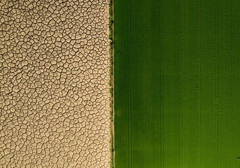 Fototapeta premium Aerial View of Dry Cracked Earth and Green Field