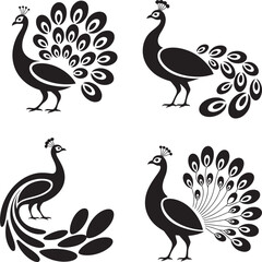 Black And White Stylized Peacock Illustrations Set Four Birds Feathers Tail vector