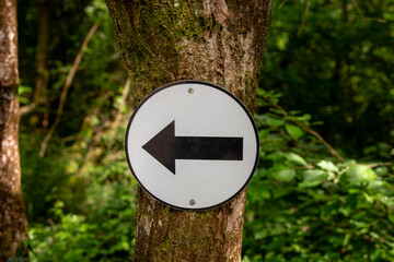 Circular Left Arrow Sign Attached to a Tree in a Forest Setting