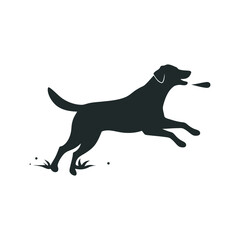 Lake Scene With Dog Fetching Stick Silhouette