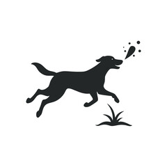 Dog Fetching Stick By Lake Silhouette