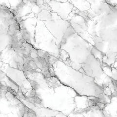Obraz premium Elegant natural marble texture in white and dark gray