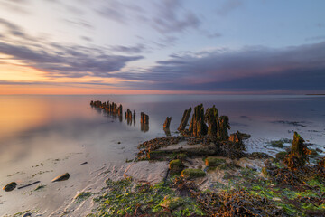 The seaweed-covered wooden poles disappear into still waters. The subtle colors of algae, the calm...