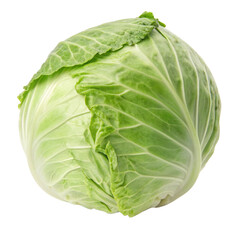Fototapeta premium Fresh Green Cabbage A Healthy and Versatile Vegetable