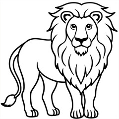 Cartoon happy lion isolated on white and color background	