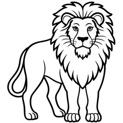 Cartoon happy lion isolated on white and color background	