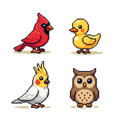 Fototapeta premium Pixel Art Set of Four Colorful Cartoon Birds and Owl in Retro Style