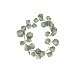 eucalyptus leaves in circle