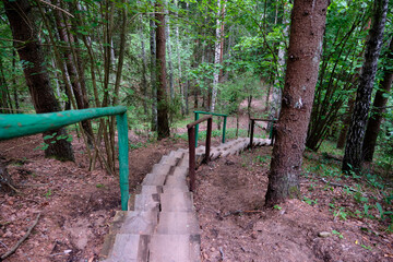 Wooden ladder made of planks leading down the forest