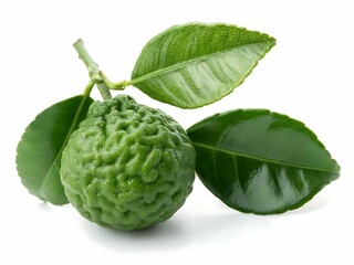 Fresh green kaffir lime fruit with leaves isolated on white background