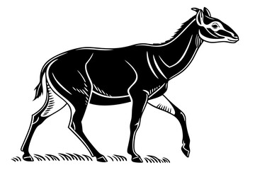 gayal sihouette black vector