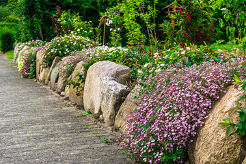 Natural stone wall with a variety of abundant blooming and green plants