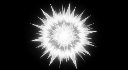 Naklejka premium dandelion on black background