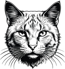 Black And White Cat Head Cut Out Silhouette
animal cat head vector silhouette black color artwork illustration