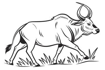 zebu silhoette black vector