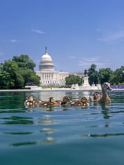 Capitol Reflecting Pool in Washington, DC. U.S. Capitol. Washington DC skyline featuring the...
