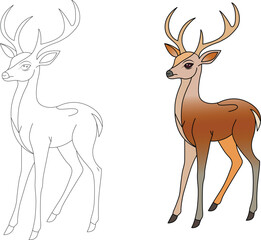 vector deer