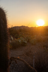 sunset in the mountains