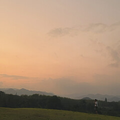 morning mist over the field