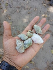 Hands holding stones