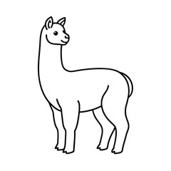vector illustration of a alpaca animal