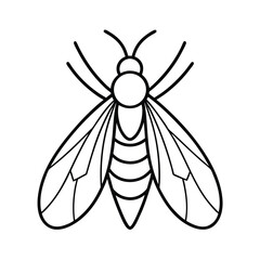 firefly insect line vector illustration