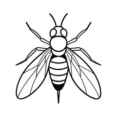 fly line vector illustration