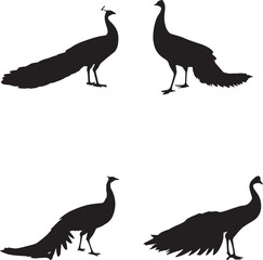 set of silhouettes of peacock