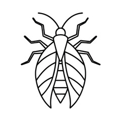 leaf insect line vector illustration