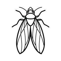 leafhopper line vector illustration